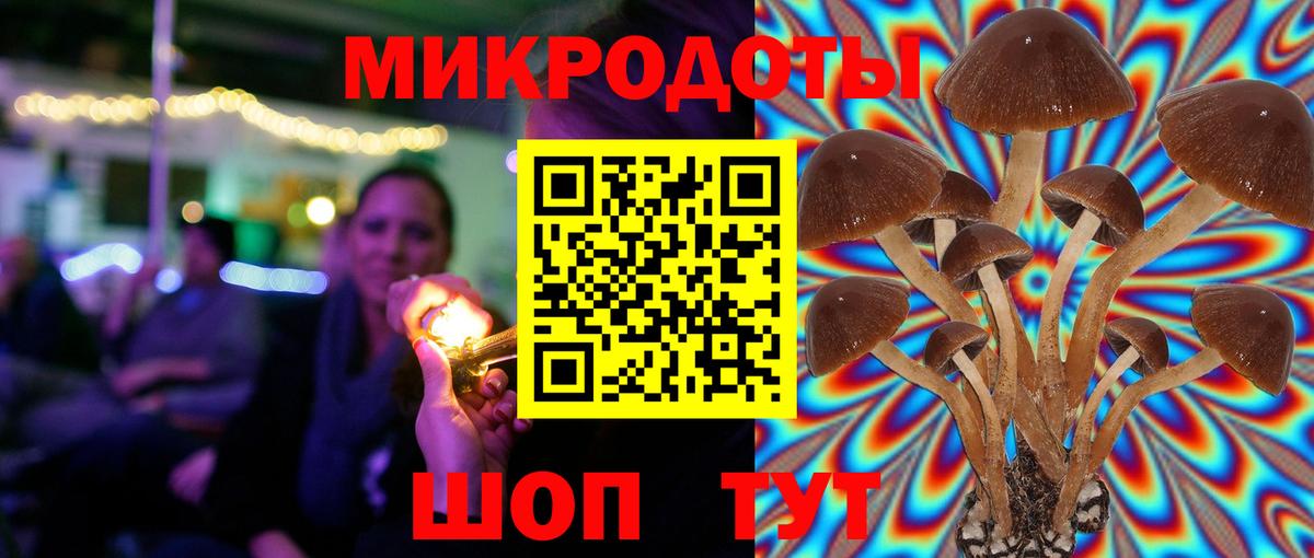 Кисловодск  Галлюциногенные грибы MAGIC MUSHROOMS  Галлюциногенные грибы Cubensis  Вход с VPN 
